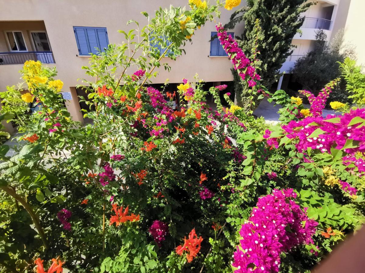 103 Regina Gardens Apartment Пафос Екстериор снимка